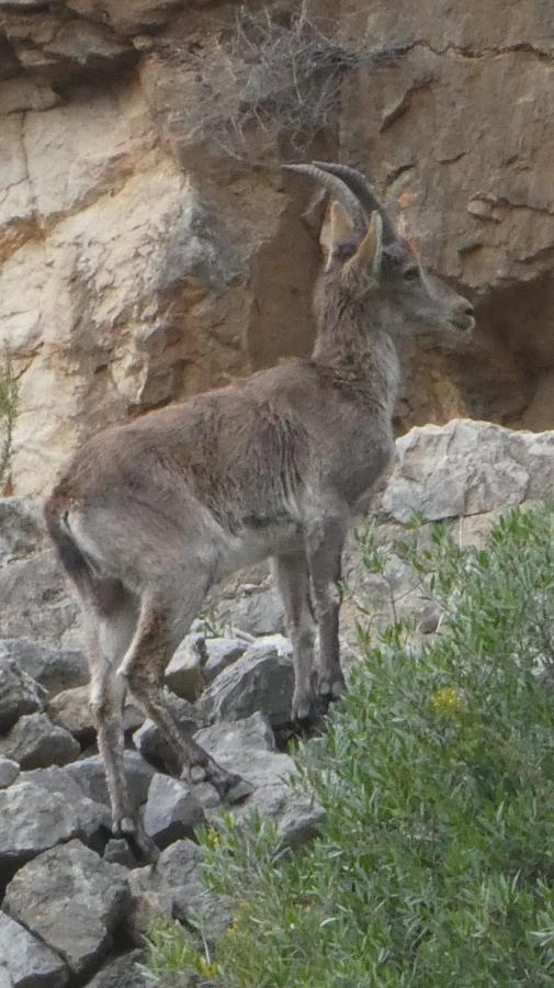 تشيلالا La Rueda Apartamentos Rurales المظهر الخارجي الصورة